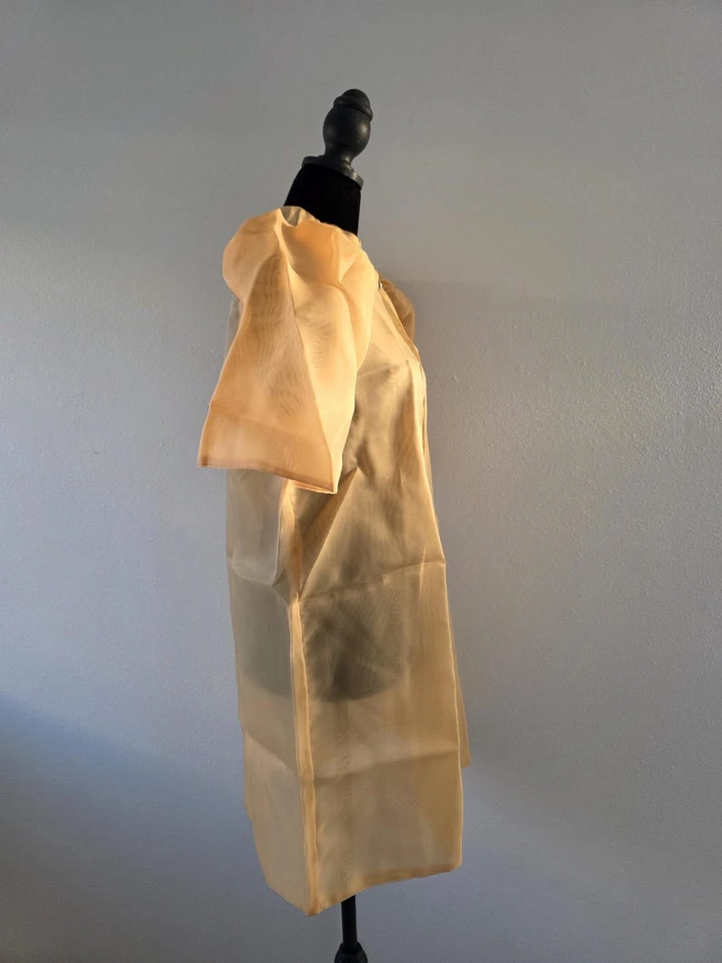 Modern Filipiniana Dress Coat – Gold Sheer Organza Duster with Pearl Button Butterfly Sleeves, Size Medium | Formal Filipino Outerwear — photo 6